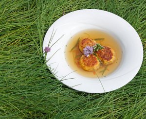 Our best gourmet specials 
